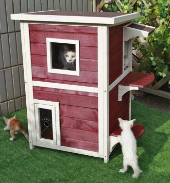 Petsfit Outdoor Cat Houses