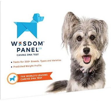 Wisdom Health Dog DNA Tests