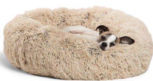 Best Friends Dog Beds