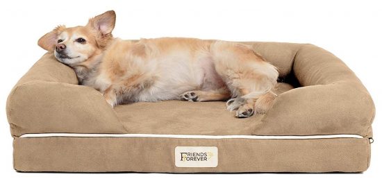 Friends Forever Dog Beds