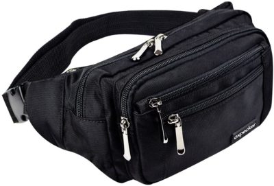 oxpecker Waterproof Fanny Packs